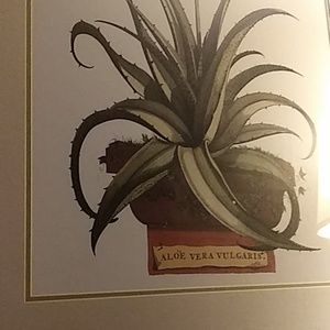 Meet your Posher, Henry